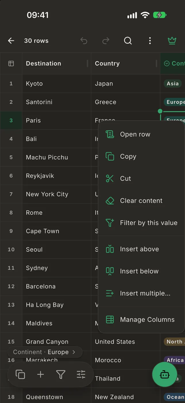 The Edit menu after holding a cell: Open row, Copy, Cut, Clear content, Filter by this value, insert and Manage Columns
