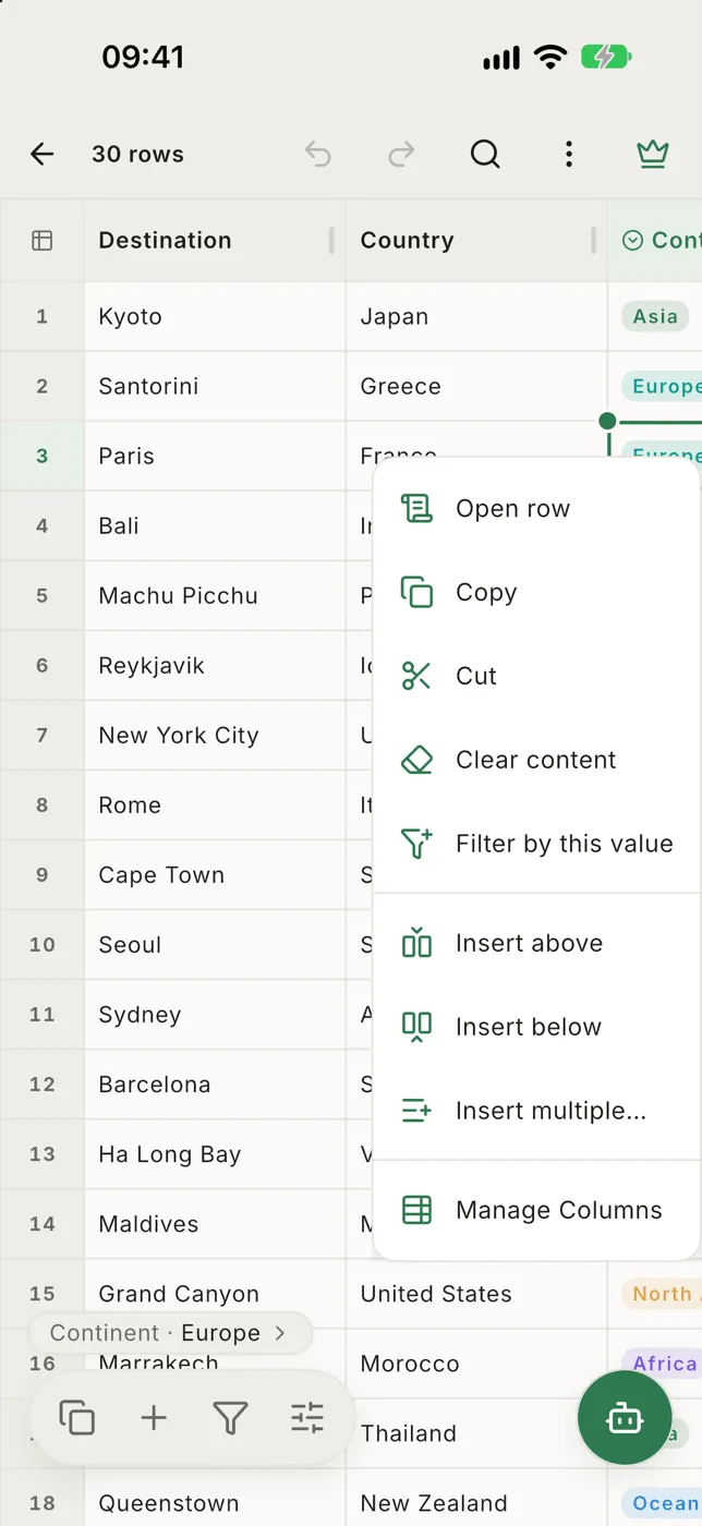 The Edit menu after holding a cell: Open row, Copy, Cut, Clear content, Filter by this value, insert and Manage Columns