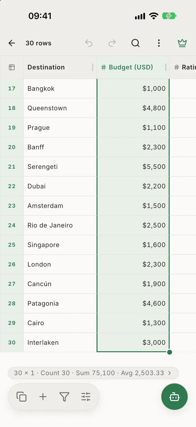 A whole column selected, with the count, sum and average above the bottom bar